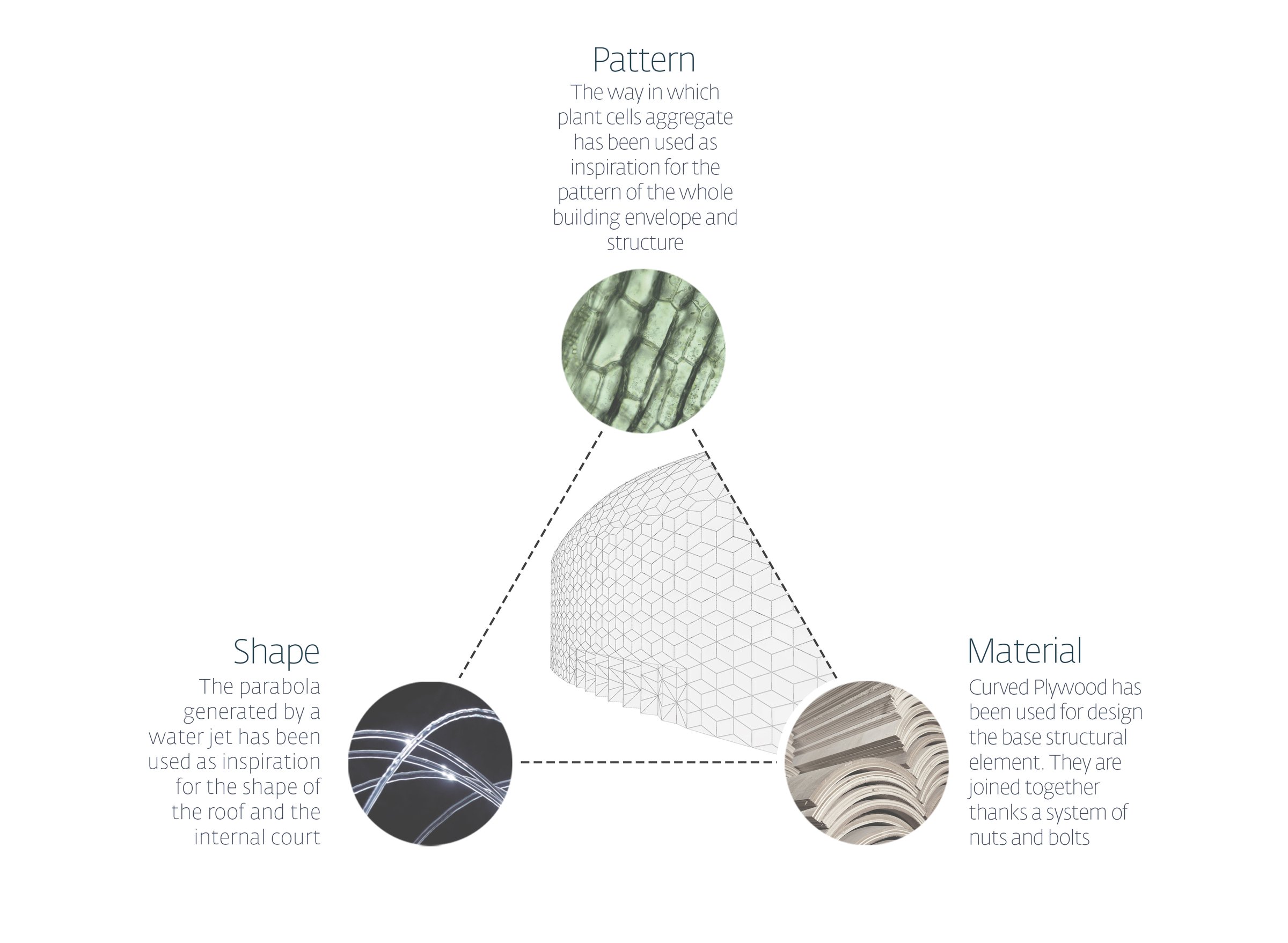 Conceptual diagram: water, timber and plant cells